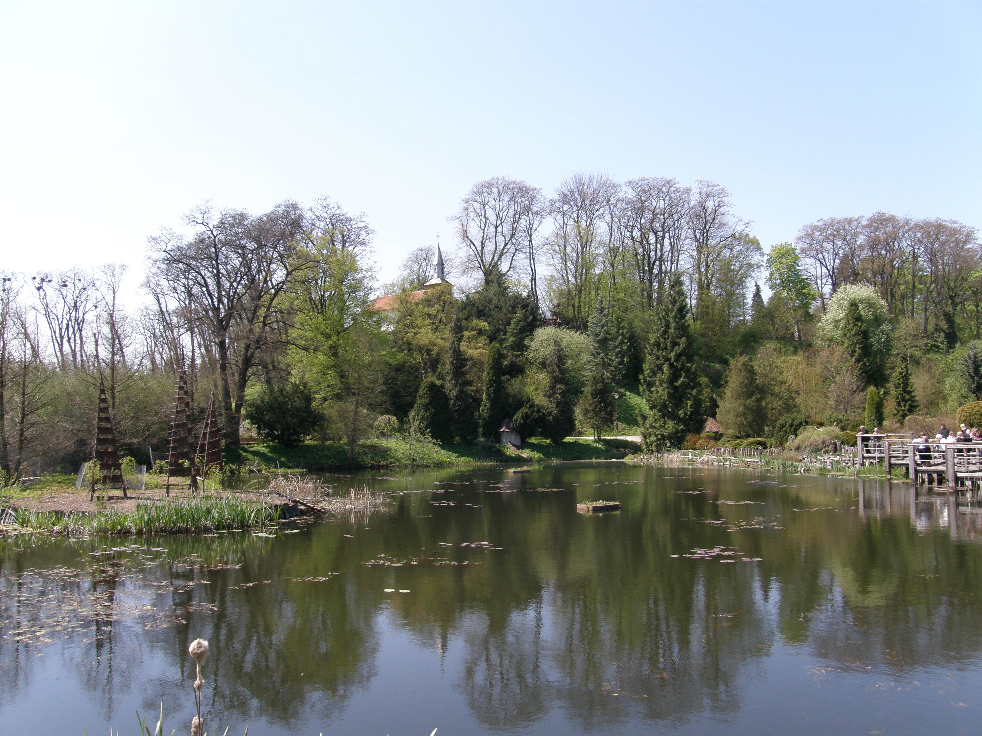 Arboretum w Bolestraszycach